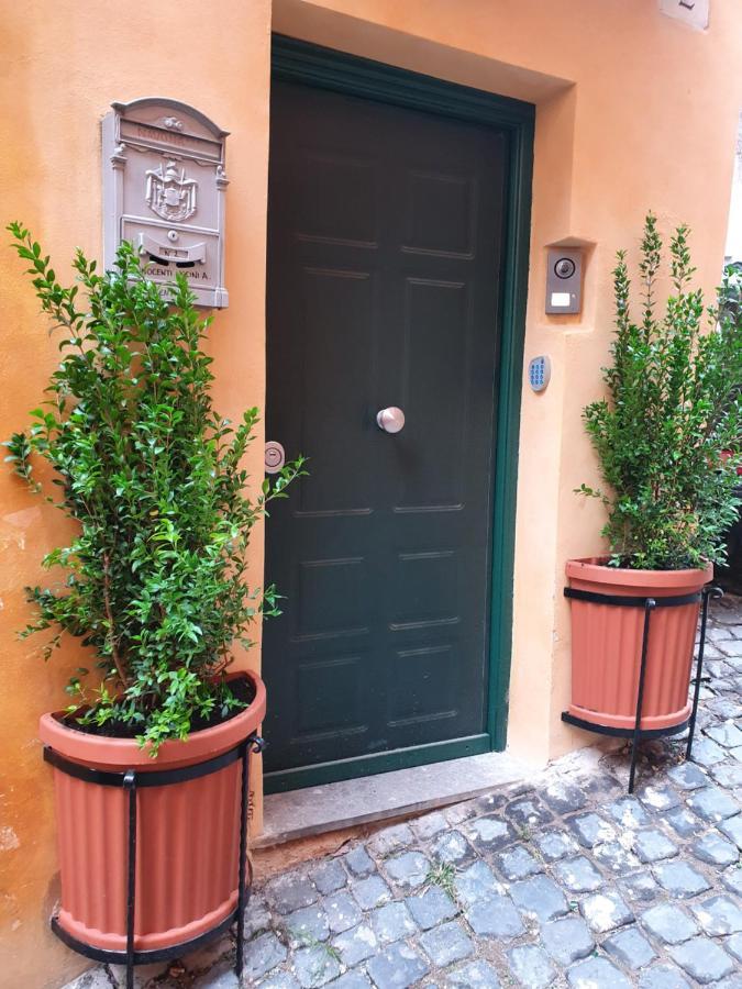Vicolo Navona — Photos 2